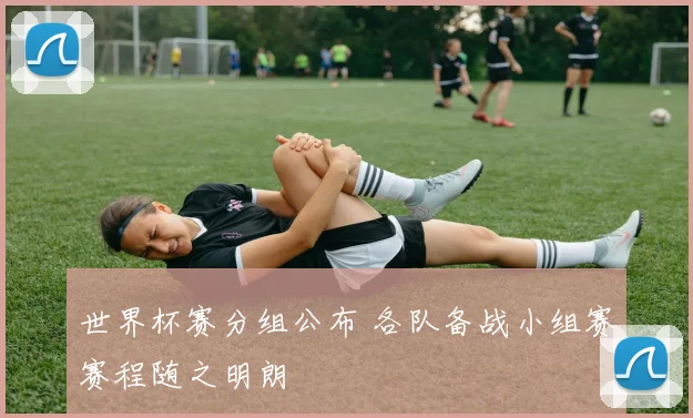 世界杯赛分组公布 各队备战小组赛赛程随之明朗