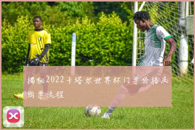 揭秘2022卡塔尔世界杯门票价格及购票流程