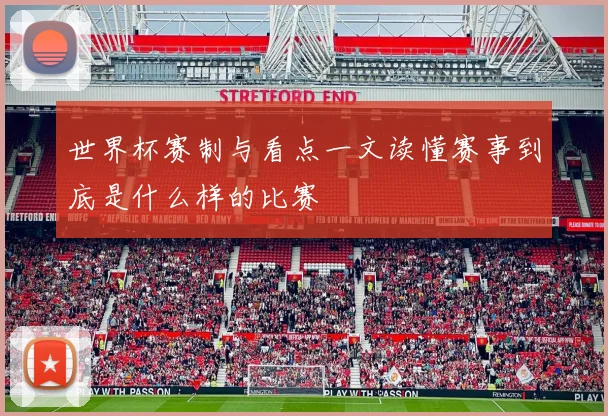 世界杯赛制与看点一文读懂赛事到底是什么样的比赛
